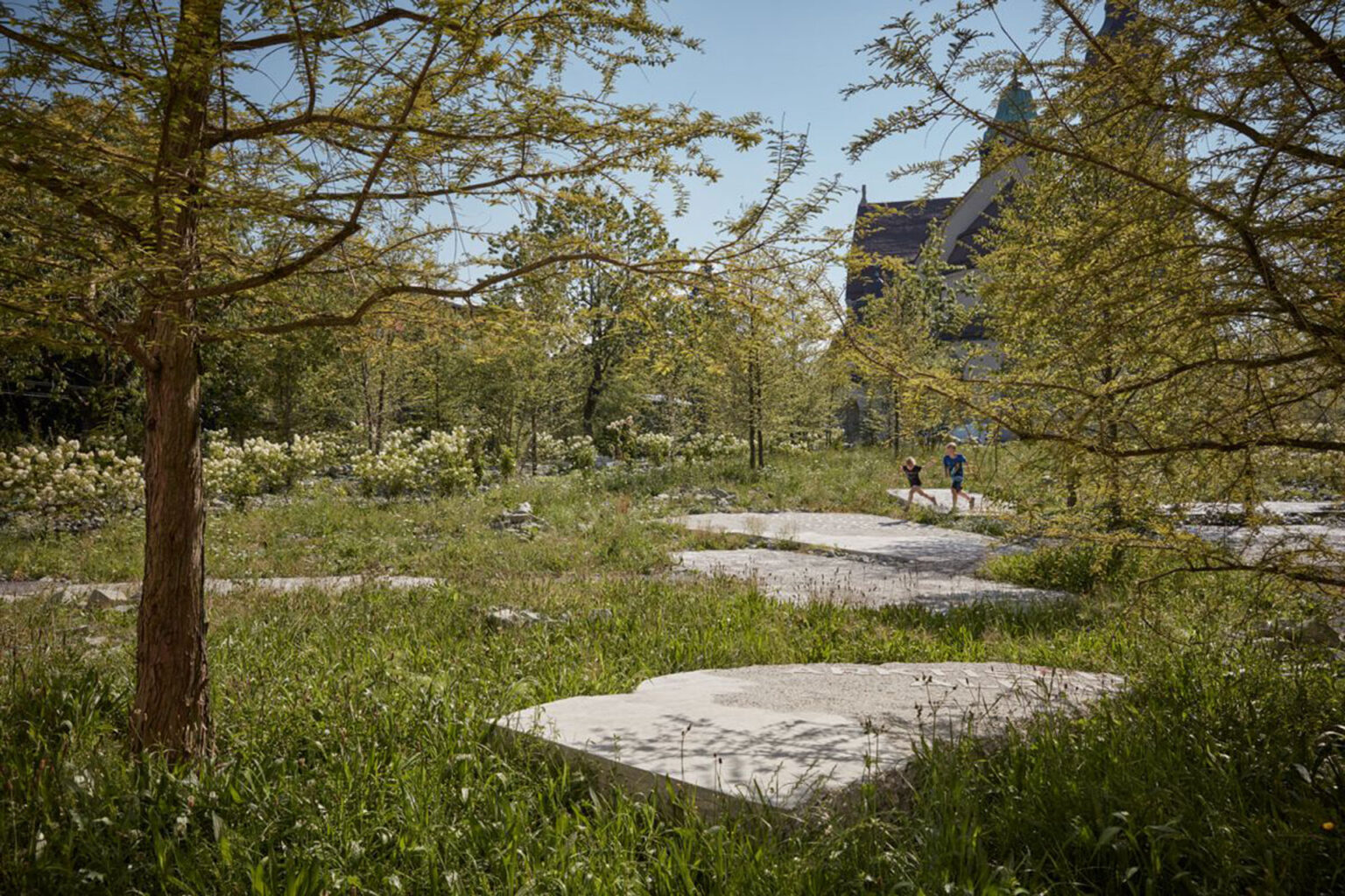 Naturmuseumspark St. Gallen Studio Vulkan